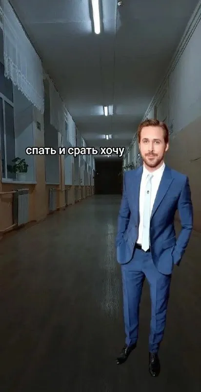 Спать и срать хочу