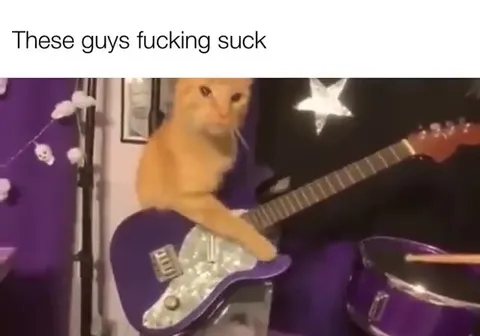 Cats Playing in a Terrible Band