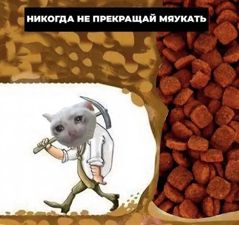Никогда не прекращай мяукать