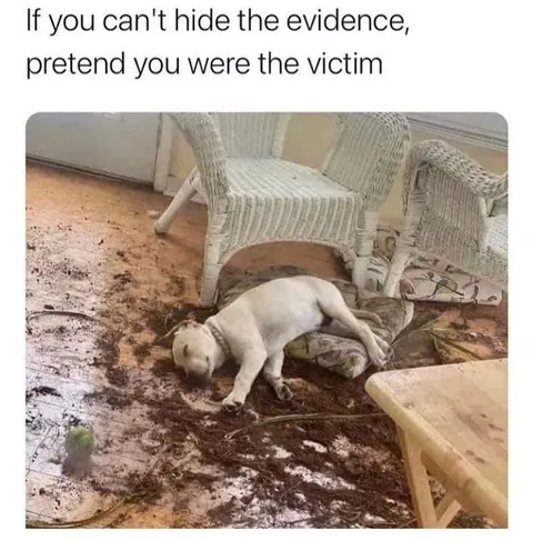 Pretend You Were the Victim