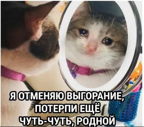 Кот отменяет выгорание
