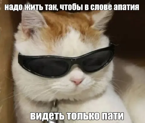 В слове «апатия» только пати
