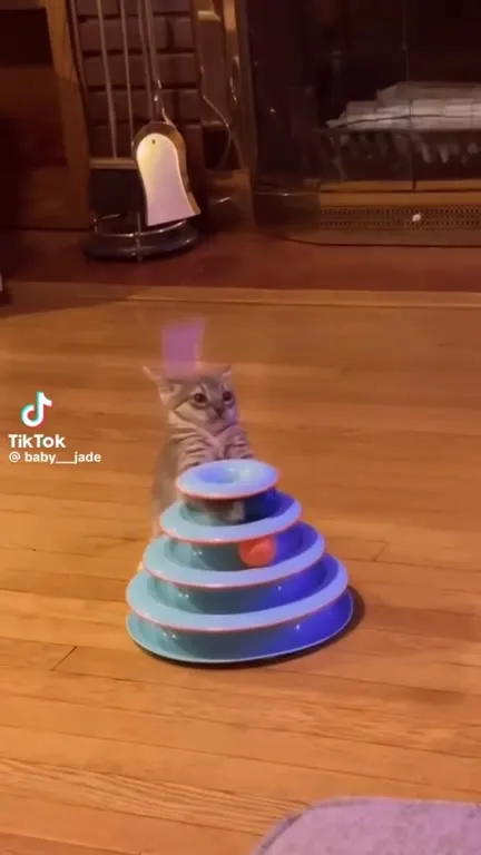 Котёнок застрял в игрушке