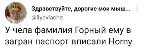 Фамилия Горный и Ногну