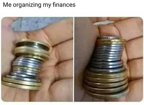 Organizing My Finances with Coins