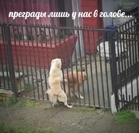 Преграды лишь у нас в голове