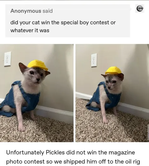 Pickles Sent to the Oil Rig