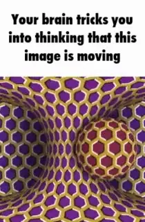 Your Brain Tricks You