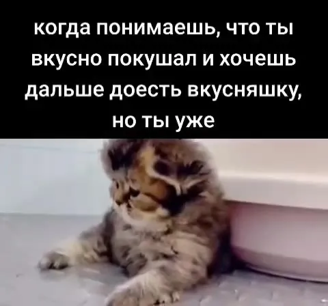 Когда уже наелся вкусняшки