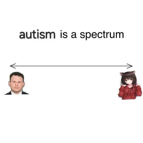 Autism Is a Spectrum