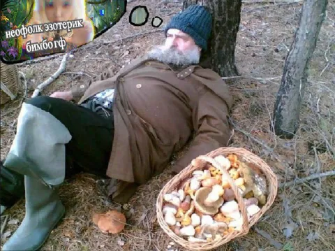 Неофолк эзотерик грибник