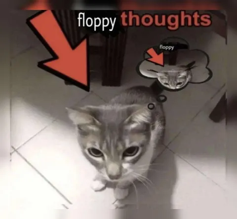 Floppy Thoughts Cat