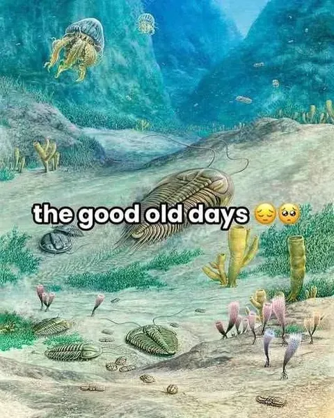 The Good Old Days