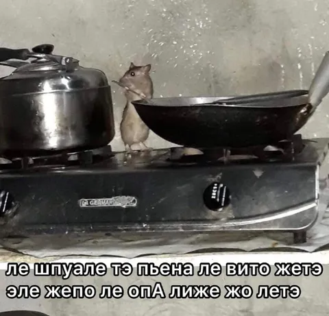Мышь готовит на плите