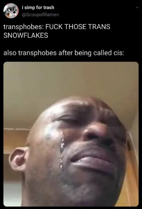 Transphobes Called Cis