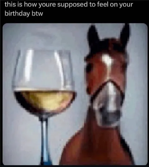 Birthday Champagne Horse