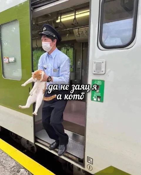 Да не заяц я, а котэ