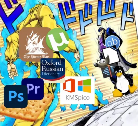 Pirated Software Hell