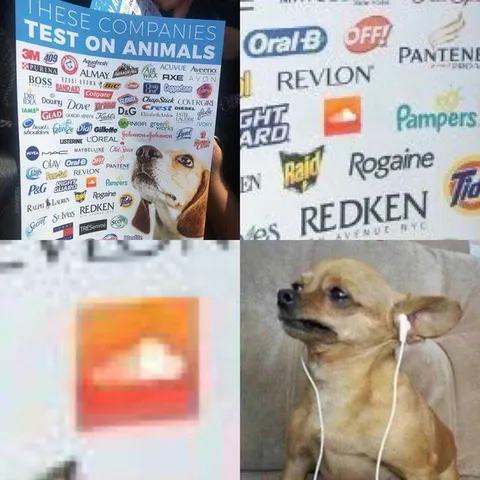 Dog Recognizes Animal Testing Brands