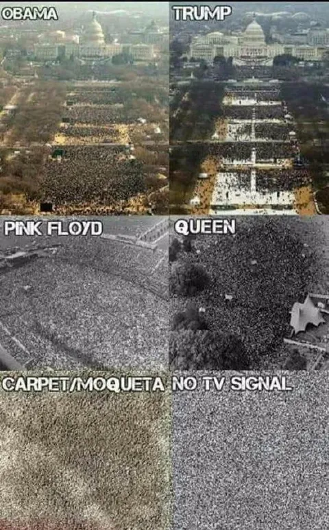 Crowd Photos Then Carpet