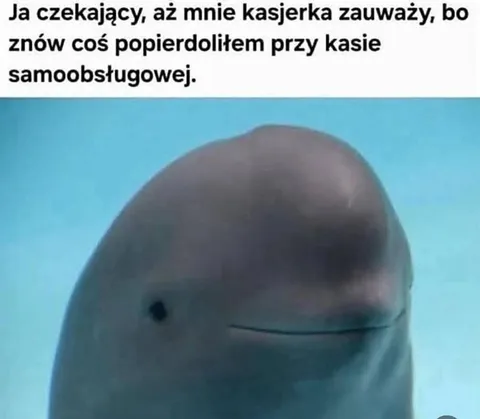 Czekam na kasjerkę przy kasie