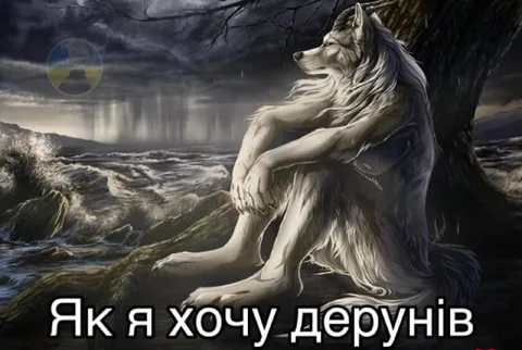 Вовк хоче дерунів