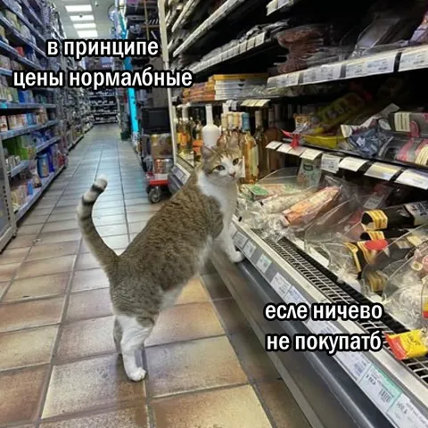 Цены нормальные, если ничего не покупать