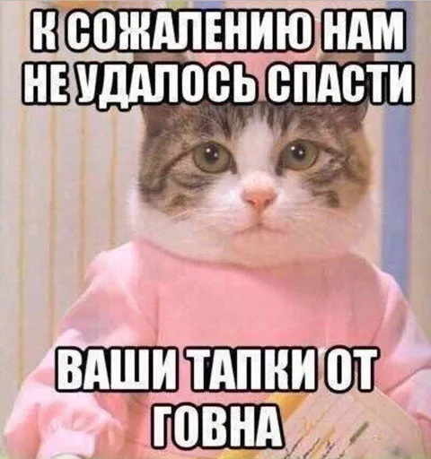К сожалению, ваши тапки от говна
