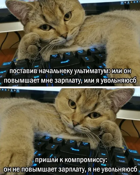 Компромисс с начальником