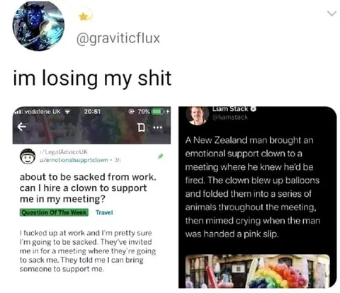 Emotional Support Clown at Work