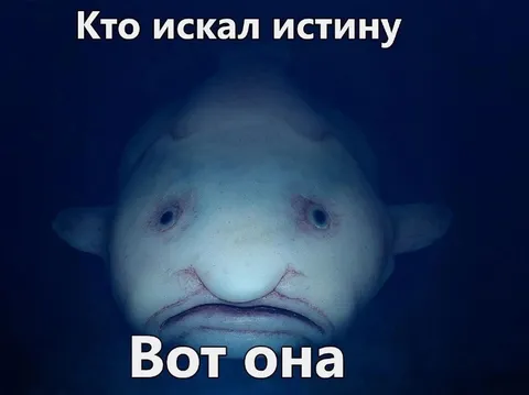 Ждун нашёл истину