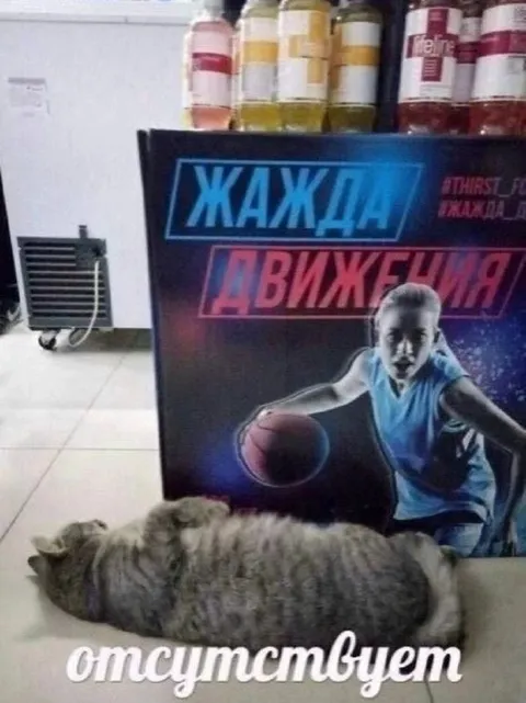 Жажда движения отсутствует