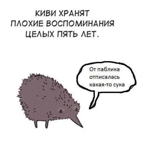 Киви помнит отписку