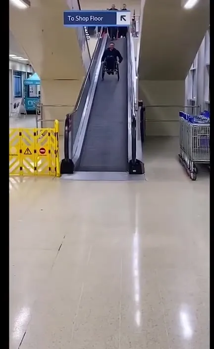 Wheelchair Escalator Chicken Escape