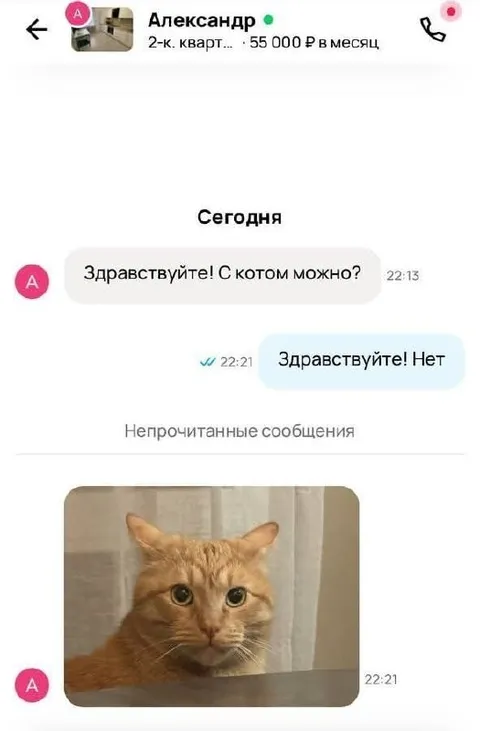 Здравствуйте! С котом можно?