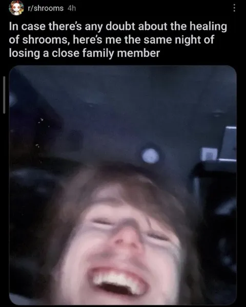Shrooms Healing Reaction