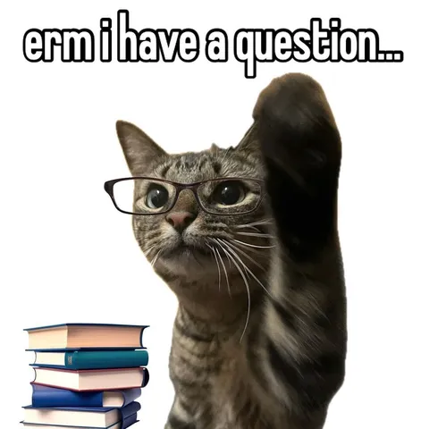 Erm I Have a Question Cat