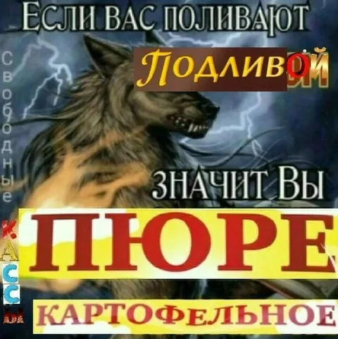 Если вас поливают подливой