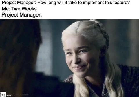 Project Manager Two Weeks