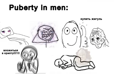 Puberty in Men Meme