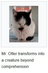 Mr. Otter Beyond Comprehension