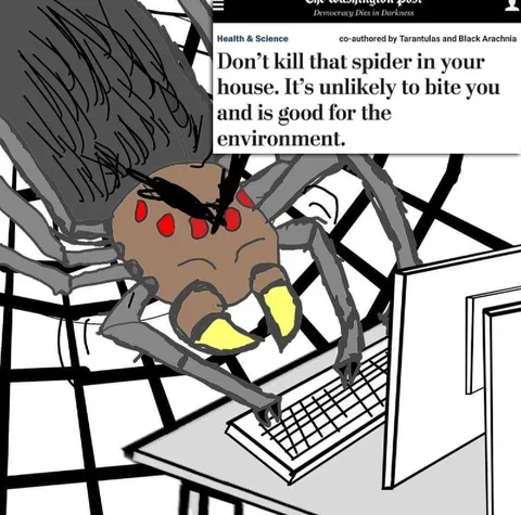 Don’t Kill the House Spider