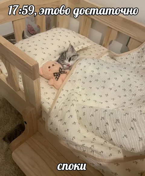 Кот укладывается спать