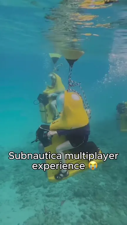 Subnautica Multiplayer Experience