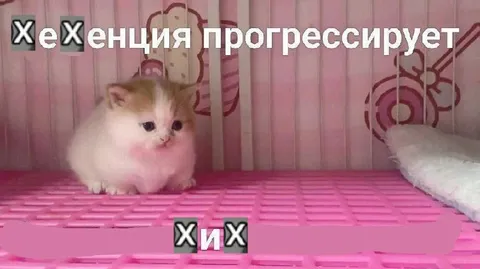 Хехенция прогрессирует