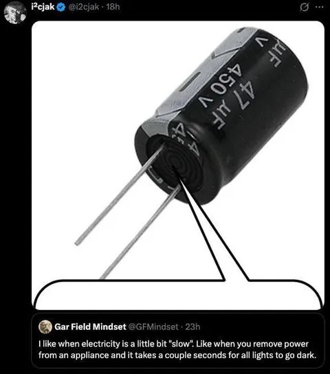 Slow Electricity Capacitor Joke