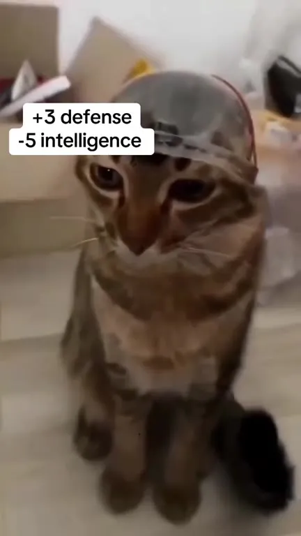 Cat Helmet Stats Debuff