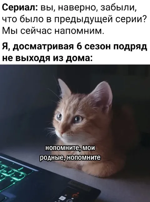 Кот вспоминает предыдущие серии