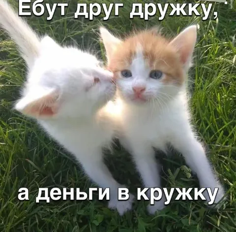 Ебут друг дружку, а деньги в кружку