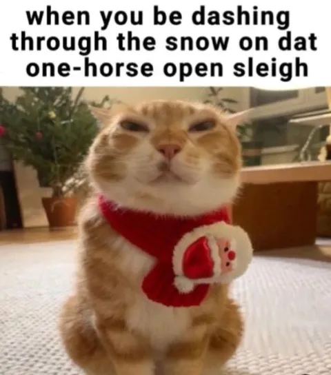 Cat Dashing Through the Snow